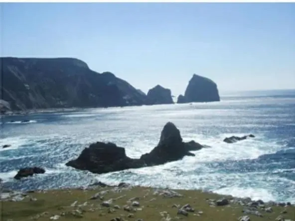 Nocleg ze śniadaniem Ashling B&b, On Wild Atlantic Way 5*